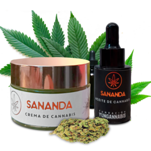 Kit Cartucho + Batería Q1 — Energía y Creatividad