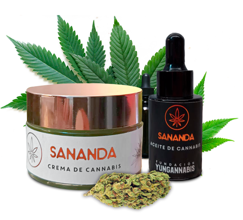 Kit Cartucho + Batería Q3 — Calma y Recuperación